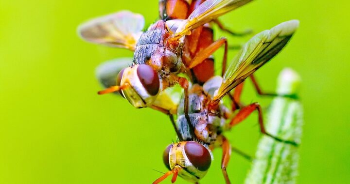 Zabawki erotyczne dla początkujących – jakie wybrać?