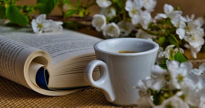 Mole w domu – jak się pozbyć?