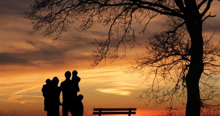 Jak skorzystać z usług obsługi prawnej?